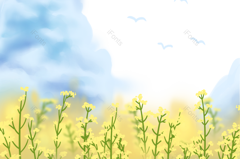 插画图片,素材元素,花朵PNG,鲜花免抠素材